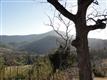 515 Wilderness Ln, Troutville, VA 24175