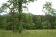 3602 Knob Forest Cir, Elliston, VA 24087