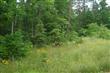 3601 Knob Forest Cir, Elliston, VA 24087