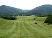 Troutville