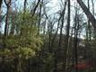Catawba