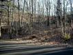3147  Burnleigh Rd SW, Roanoke, VA