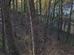3156  Stoneridge Rd , Roanoke, VA