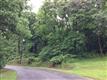 Troutville