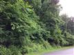 Troutville