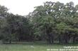 66.99  Cr 339 , La Vernia, TX