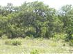 309 N Doehne Oaks , New Braunfels, TX