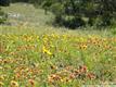 1148 N Imhoff Ln , New Braunfels, TX