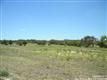 219  Doehne Oaks , New Braunfels, TX