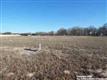 311  Rose Meadow Dr , La Vernia, TX