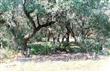 0  Bluehill Pass , Helotes, TX