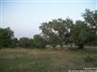 LOT 225  Bridle Chase , Bandera, TX
