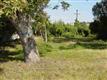 123  Terrell Road , Alamo Heights, TX