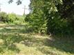 125  Terrell Rd , Alamo Heights, TX