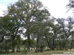 Boerne