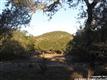 6425  Derby Way , Bulverde, TX