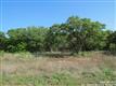 272  Great Oaks , La Vernia, TX
