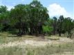 115  Single Tree Ct , Canyon Lake, TX