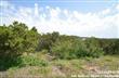 12303  Tatum , Helotes, TX
