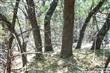 223  Assiniboia Dr , Canyon Lake, TX