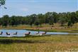Hilltop Lakes