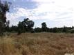0  Fairview Dr. , Roseville, CA