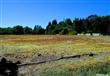 1821  Ladino (Lot 17) Rd , Sacramento, CA