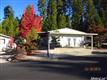 Grass Valley