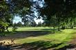 445  Golf Cir , Manteca, CA