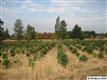 8059 SE Stein Ln SE, Aumsville, OR 97325