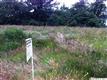 2054 Celeen SE, Salem, OR 97302