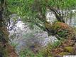 24115  North Fork Road , Lyons, OR