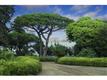 929 Border, Del Mar, CA 92014