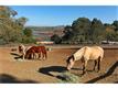 1810 San Dieguito Dr., Parcel 1, Del Mar, CA 92014