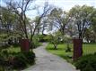 20405  State Park , Palomar Mountain, CA