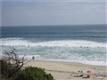 251 Tamarack, Carlsbad, CA 92008
