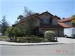 715  Red Alder 