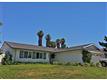 3966  Wooster 