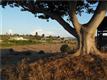 4782 Sleeping Indian, Fallbrook, CA 92028