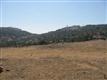 2595 Daisy, Fallbrook, CA 92028