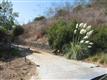 2595 Daisy, Fallbrook, CA 92028