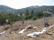 2595 Daisy, Fallbrook, CA 92028