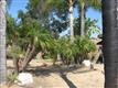 2595 Daisy, Fallbrook, CA 92028