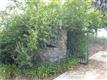 2595 Daisy, Fallbrook, CA 92028