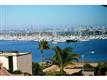 2955  Mccall , San Diego, CA