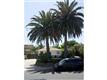 295  Chinquapin , Carlsbad, CA