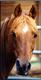 46  Droege Rd , Santa Fe, NM