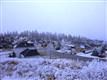 8907 E Woodland Park  Dr 