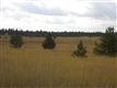2318  Dillon Ln , Deer Park, WA