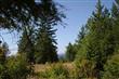 0  Jackson Rd , Elk, WA